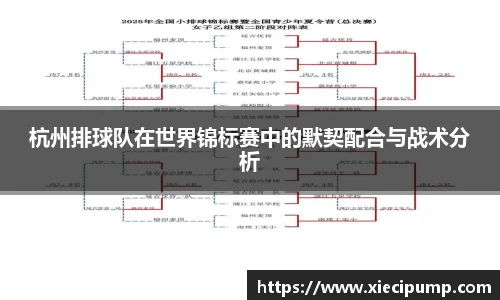 杭州排球队在世界锦标赛中的默契配合与战术分析