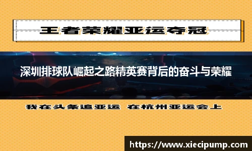 深圳排球队崛起之路精英赛背后的奋斗与荣耀